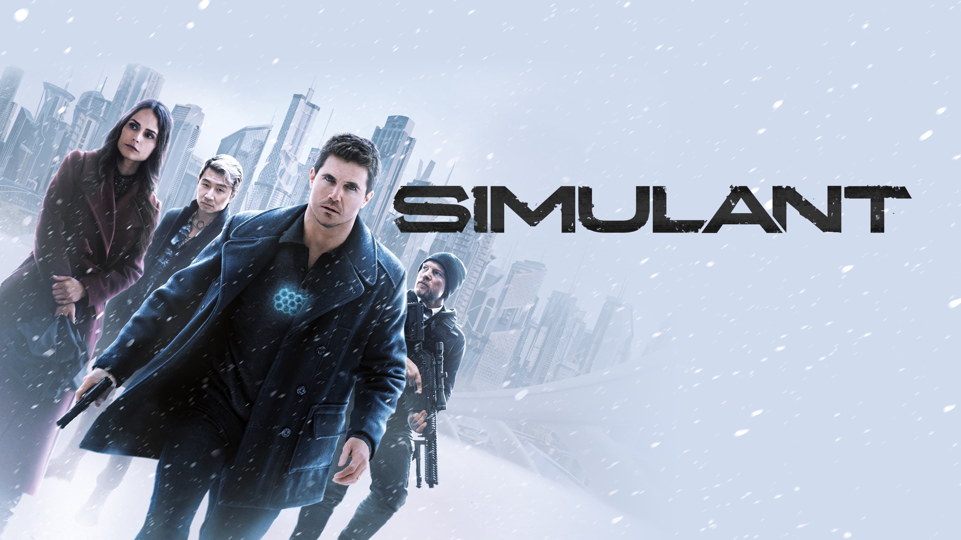 Symulacja
